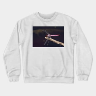 Pink Beauty - Roseate Skimmer Crewneck Sweatshirt